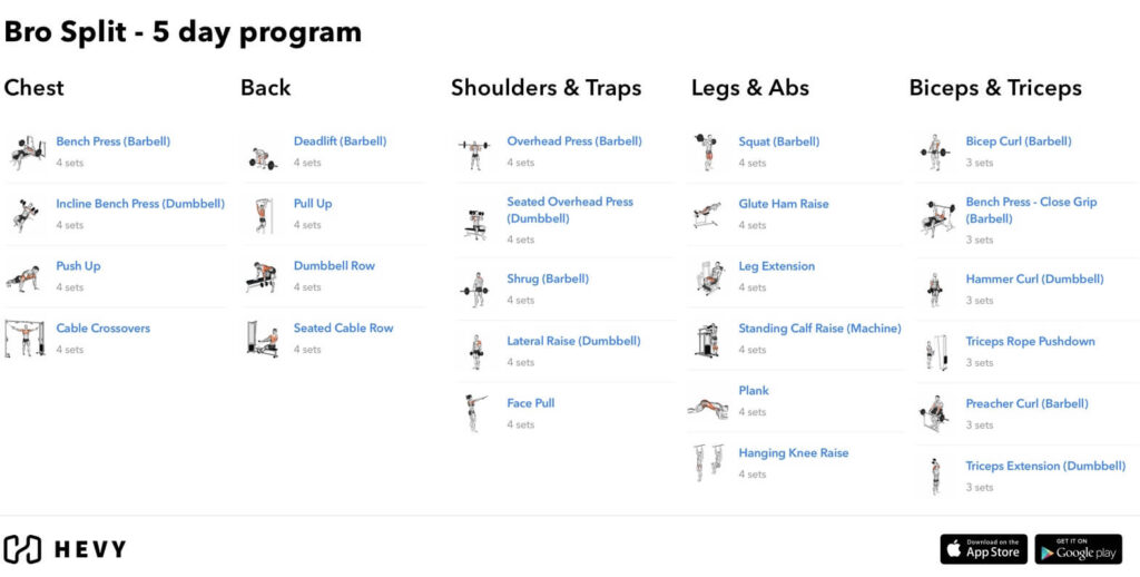 bro split 5 day routine workout program hevy