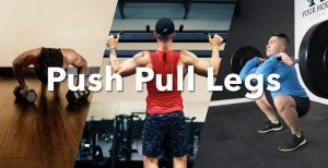 Push Pull Legs Workout Guide