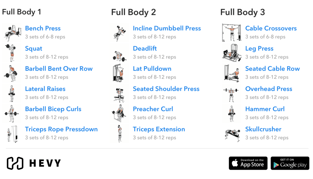 full body 3 day training split