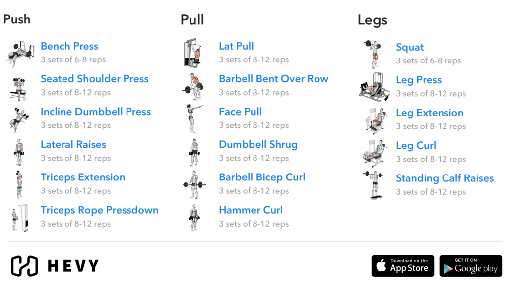 push pull legs workout split