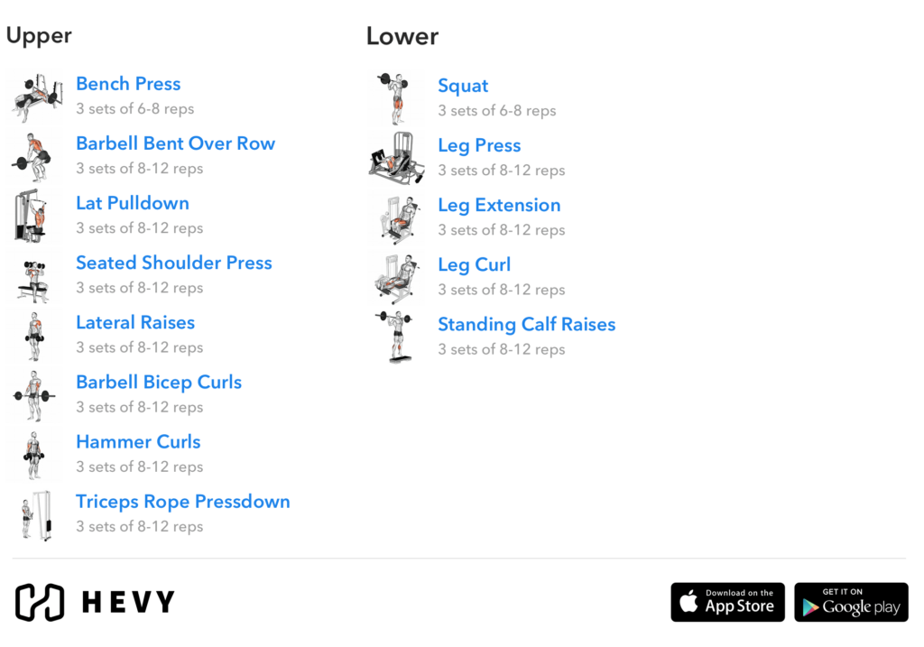 upper lower workout split