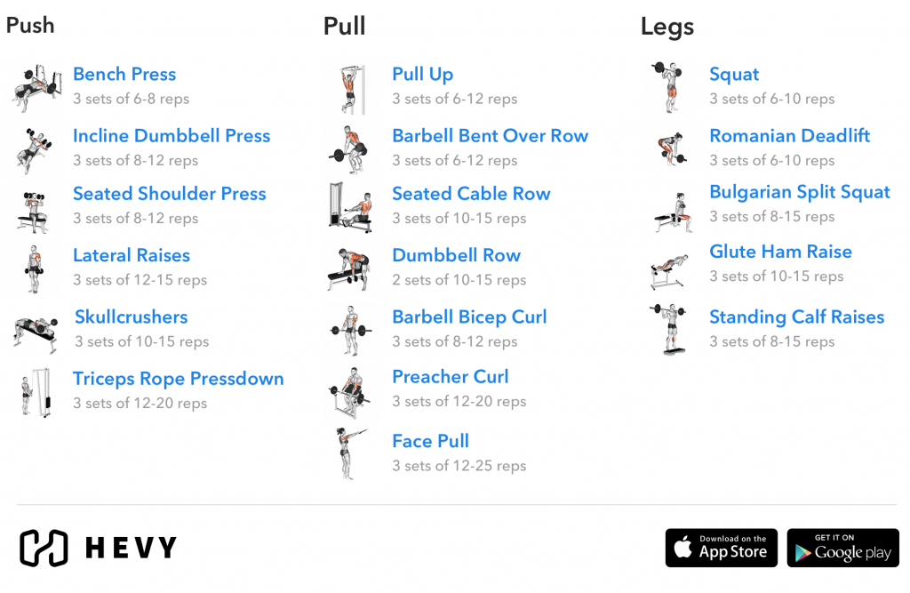 workout routine calendar push pull legs